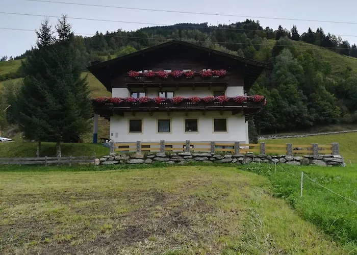 Seidl 1 *